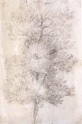 Claude Lorrain A Tree Trunks (mk17) oil painting